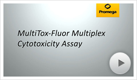 mtox01-poster