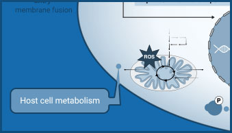 host-cell-tile-left