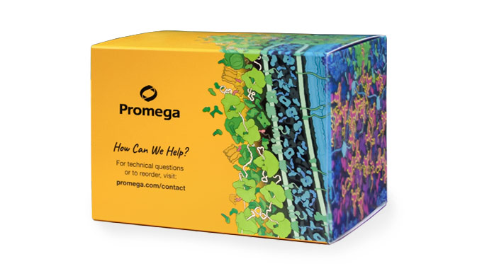 Maxwell® RSC DNA FFPE Kit