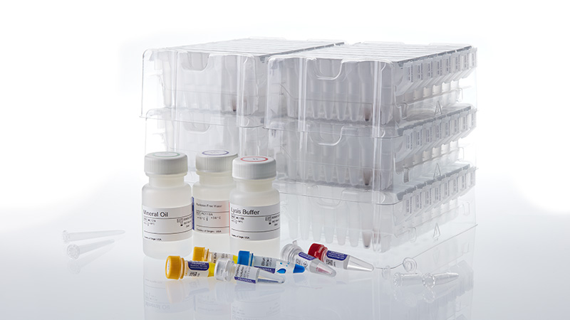 as1510-maxwell-rsc-xcelerate-dna-ffpe-kit