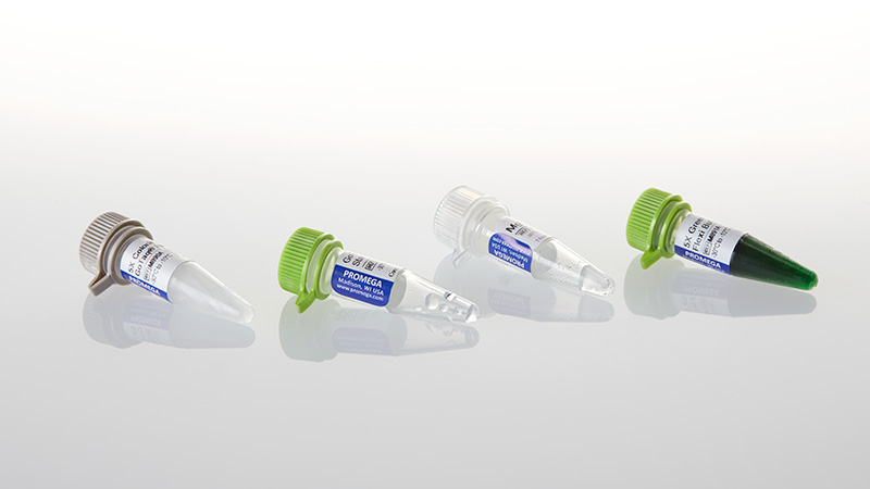 D6001_GoTaq--MDx-Hot-Start-Polymerase--100u_3