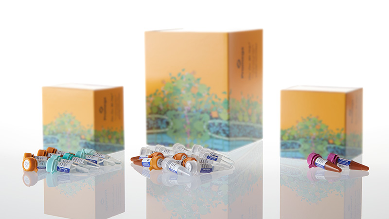 DC1610_PowerPlex--ESX-16-Fast-System--400rxn