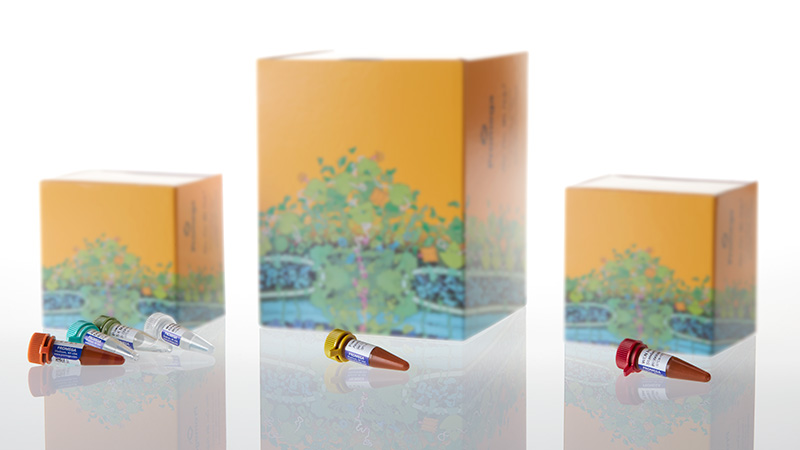 DC2305_PowerPlex--Y23-System--50rxn