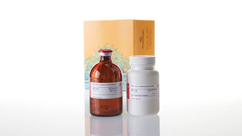 E6120_ONE-Glo--Luciferase-Assay-System--100ml_3