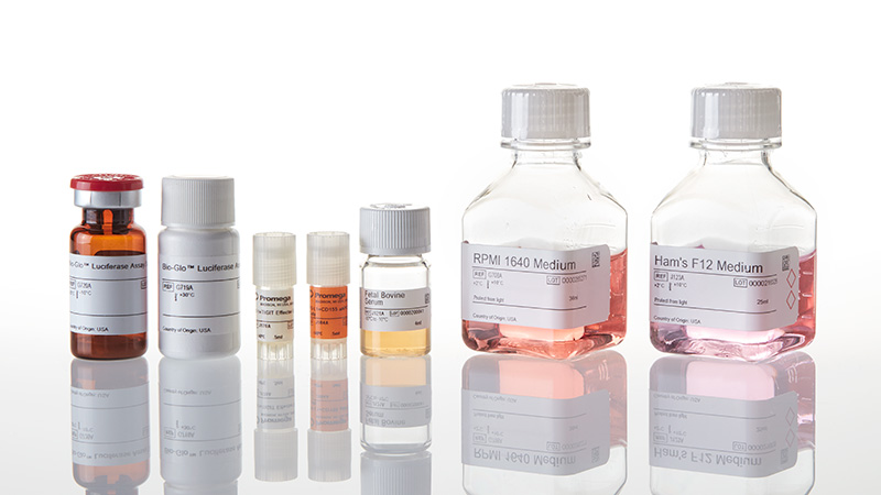 J2211_PD-1-TIGIT-Combination-Bioassay_3