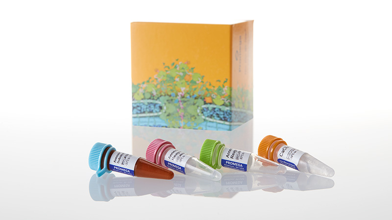 JA1000_RealTime-Glo--Annexin-V-Apopt-Asy100-Asy_3