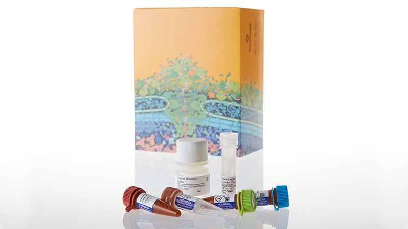 N2080_NanoBRET- Target Engagement HDAC Assays