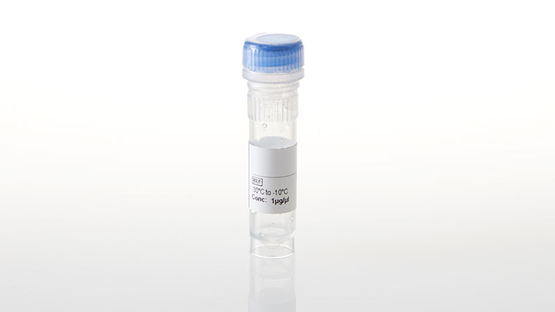 NV3281_NanoLuc--IRAK1 Fusion Vector- 20ug