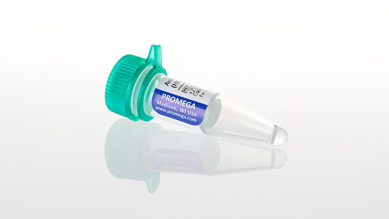 S3821-Anti-Human IgG Alkaline Phospatase Conjugate