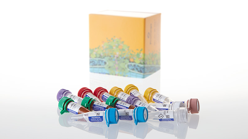 VA1040_AccuMAP-Low-pH-Protein-Digestion-Kit-mini