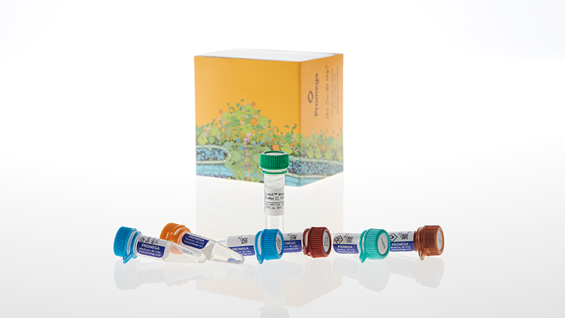 W1201_Lumit--Immunassay-Cellular-System---Set-1--100-assays_3