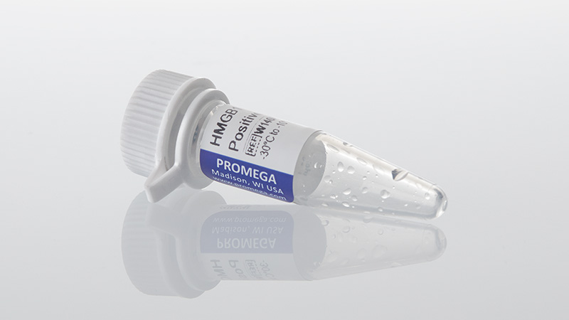 w140a-c-lumit-hmgb1-human-positive-control