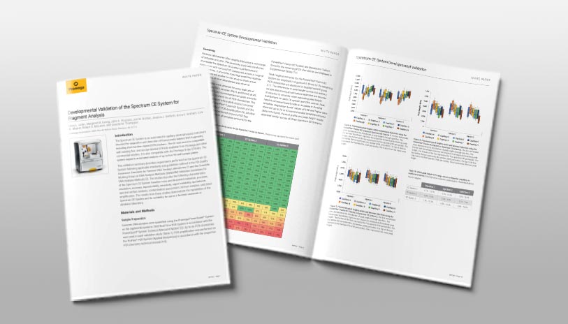 spectrum-dv-article-813x464