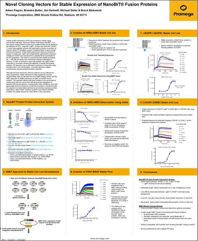 novel-cloning-vectors-for-stable-expression-of-nanobit-fusion-proteins-gpn067