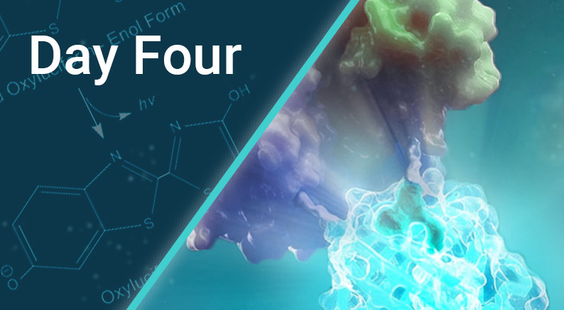 day-four-of-discover-glo-event