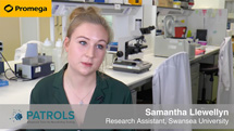 samantha-llewellyn-video-tile-215x121