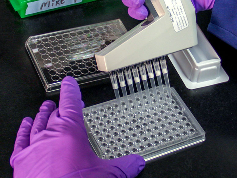 mike-pipette