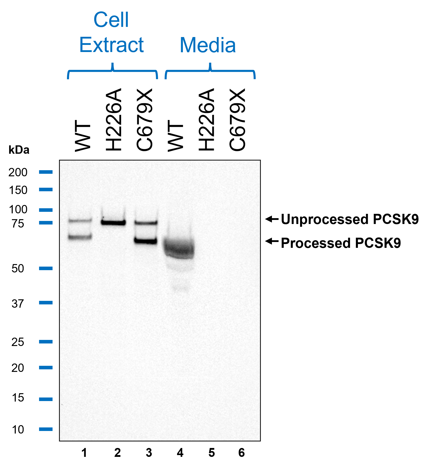 figure-3