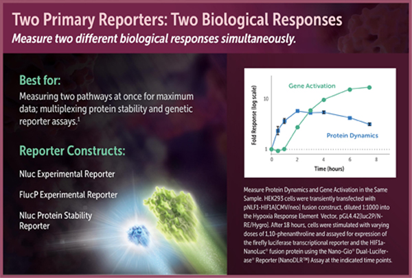 DLR_infographic_3_600PX