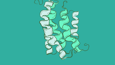 Five protein segments folded into helix shape of different length float around the screen
